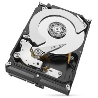 4TB SkyHawk ST4000VX013 Seagate