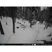Ловна камера Hunting 400C PRO, 4G LTE, 24MP, Night Vision, IP66
