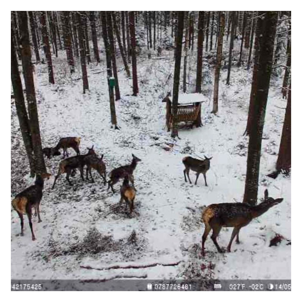Ловна камера Hunting 751 Pro, 4G LTE, 16MP, Night Vision, IP66