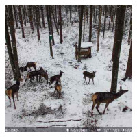 Ловна камера Hunting 751 Pro, 4G LTE, 16MP, Night Vision, IP66